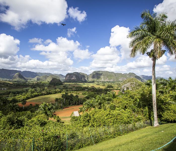 cuba travel.com